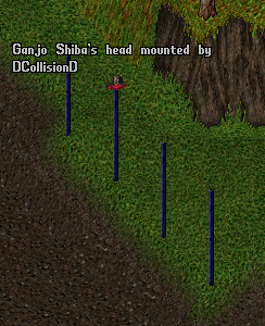 Heads on pikes — a trophy from the PvP fields