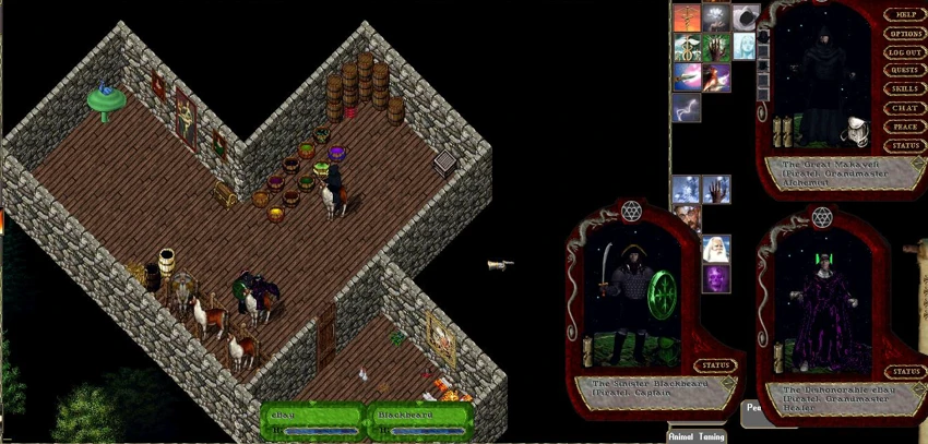 The Pirate guild's headquarters
